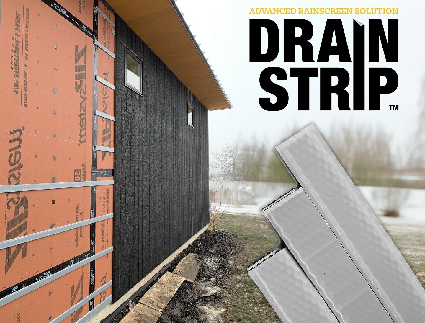 DrainStrip™ Sample